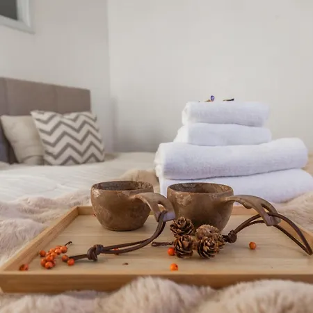 公寓 New! Reindeer River Loft