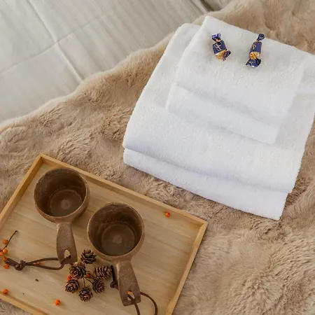 アパート New! Reindeer River Loft *