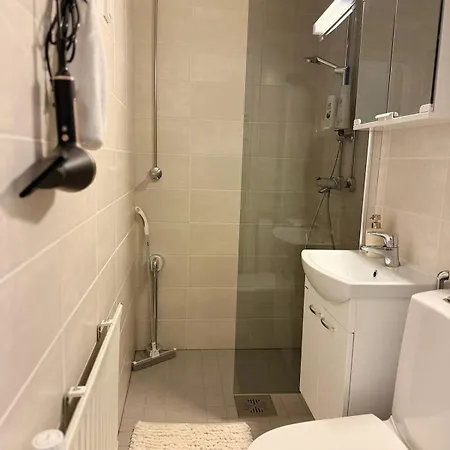 New! Reindeer River Loft * Rovaniemi