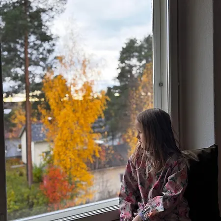 公寓 New! Reindeer River Loft *