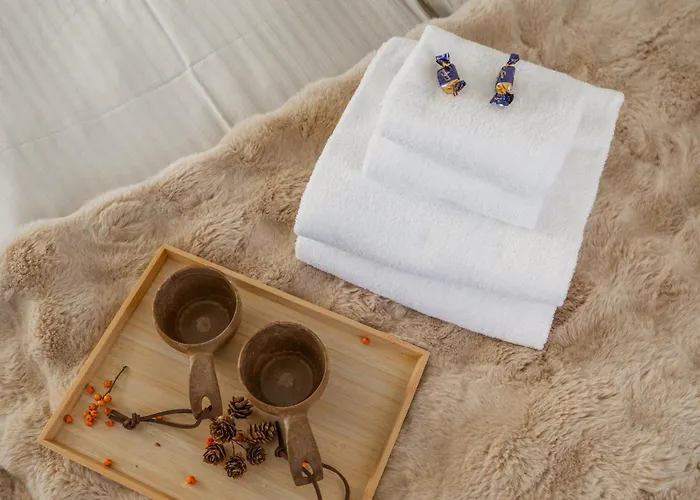 Апартаменты New! Reindeer River Loft *