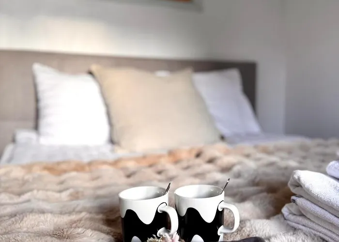 New! Reindeer River Loft Ροβανιέμι